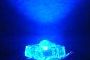 Piranha power led blue